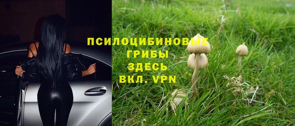 ECSTASY Абинск