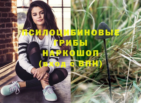 ECSTASY Абинск