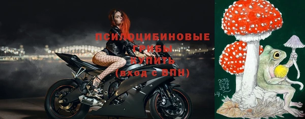 спиды Алексеевка